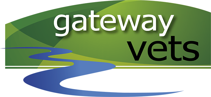 logo-image